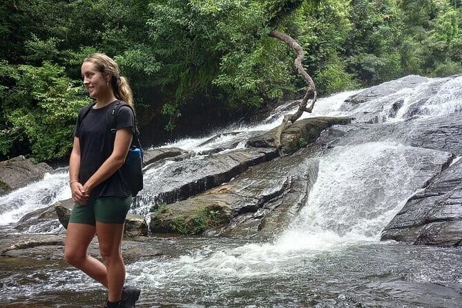 Sinharaja Rain Forest Day Tour from Mirissa, Galle, Bentota Area - Sinharaja Rain Forest From Mirissa, Galle, and Bentota: What the Day Really Delivers