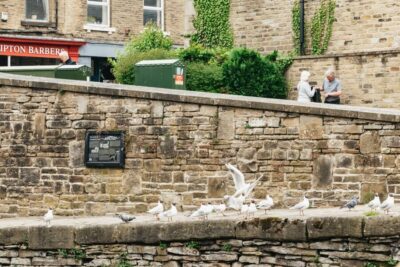 Skipton: 2-Hour Afternoon Tea Cruise - Boarding in Skipton: where to go and how to arrive