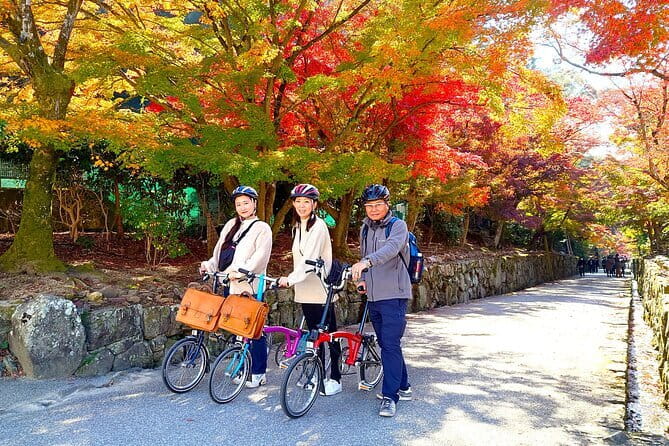 Slow Cycling Tour at Uji's Matcha Green Tea Fields and Heritage - Key highlights you’ll care about