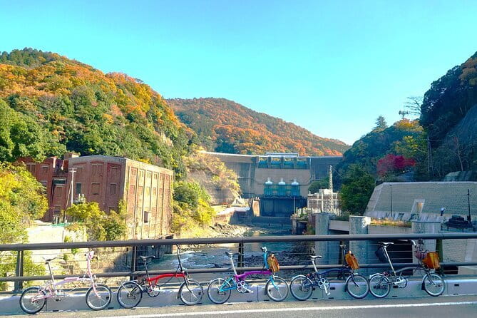 Slow Cycling Tour at Uji's Matcha Green Tea Fields and Heritage - Brompton rides, helmets, and the “show up and go” feeling