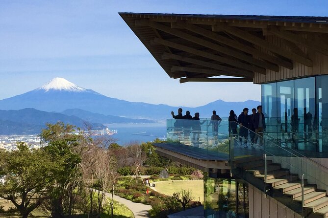 Small Group Japanese Green Tea Tasting in Shizuoka - Nihondaira Yume Terrace: The Fuji View Stop That Keeps You Moving