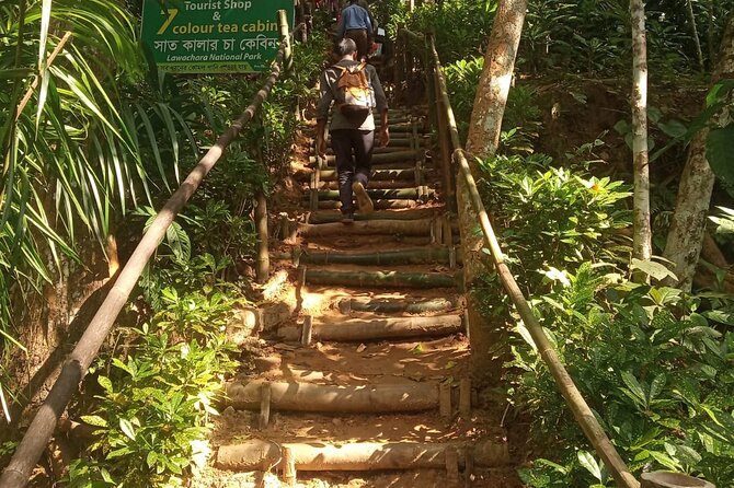Srimangal nature tour in forest and tea garden - Learning about local tribes: how to ask good questions