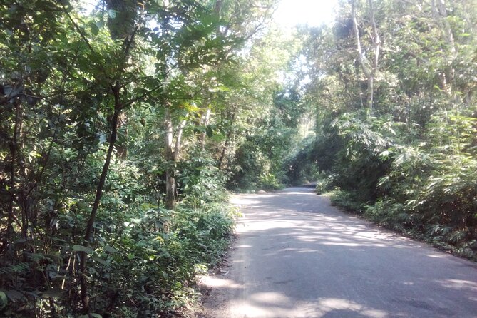 Srimangal nature tour in forest and tea garden - Comfort, transport, and what the private vehicle really buys you
