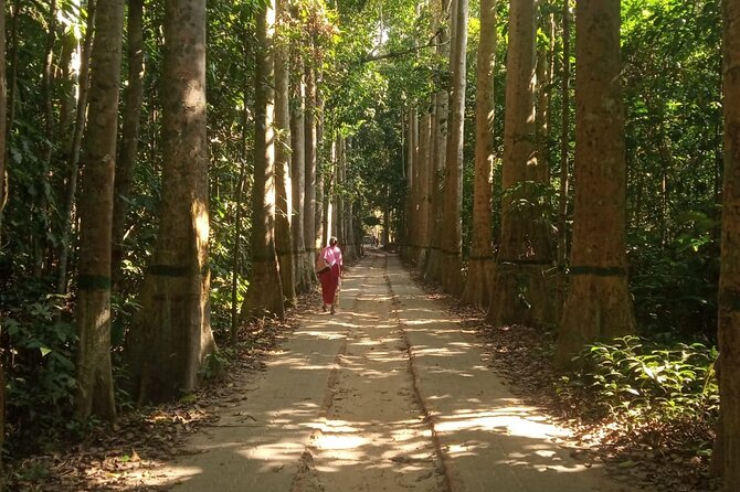Srimangal nature tour in forest and tea garden - Price value: $50 for a guided full day in nature and tea country