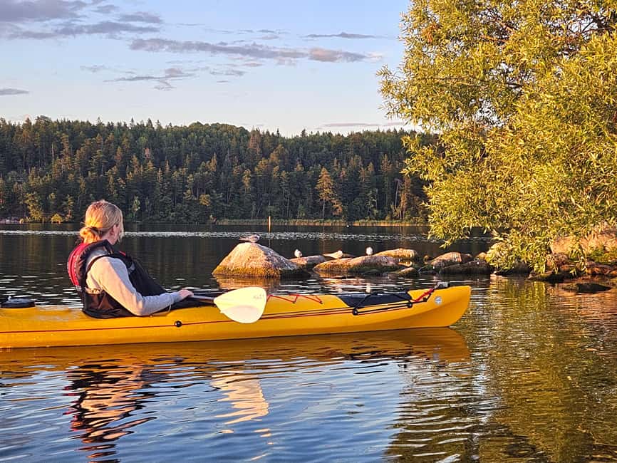 Stockholm: Sunset Kayak Tour on Lake Mälaren with Tea & Cake - Vikings and Swedish Culture: History Notes You Can Actually Use