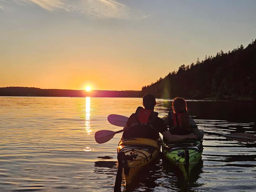 Stockholm: Sunset Kayak Tour on Lake Mälaren with Tea & Cake - A Small Group (Up to 8) Changes Everything