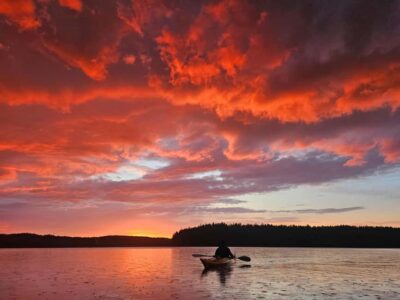 Stockholm: Sunset Kayak Tour on Lake Mälaren with Tea & Cake - Getting There: Van Pickup and Your Launch Point
