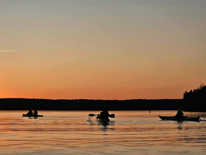 Stockholm: Sunset Kayak Tour on Lake Mälaren with Tea & Cake - The Kayak Route: About 7 km and a Pace You Can Handle