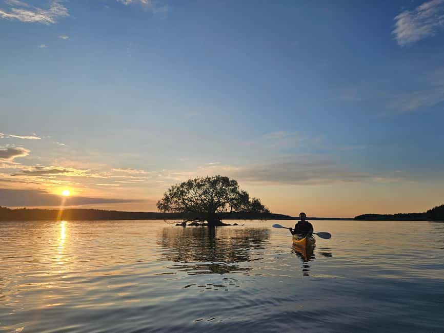 Stockholm: Sunset Kayak Tour on Lake Mälaren with Tea & Cake - Chasing Twilight: Beaver-Watching Without the Pressure