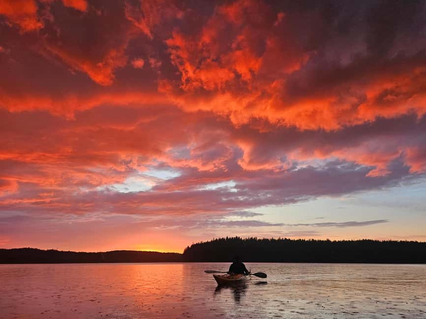 Stockholm: Sunset Kayak Tour on Lake Mälaren with Tea & Cake - Getting There: Van Pickup and Your Launch Point