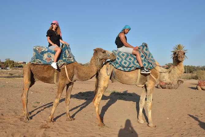 Sunset camel ride in Agadir with transport, tea and cakes. - How The Sunset Ride Works (And Why The Timing Matters)