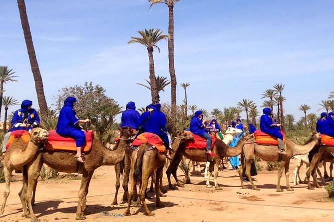 Sunset Camel Ride with tea break in the Palm Grove of Marrakech - Key Things to Know Before You Go