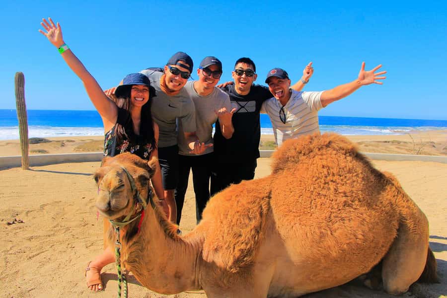 Tangier: sunset, tea, camel ride, Cape Spartel and caves. - Caves of Hercules: What You Can Get in 15 Minutes