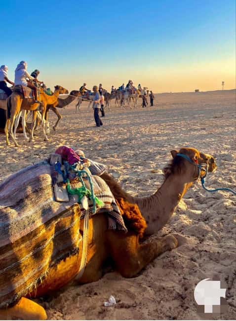 Tangier: Sunset tour with tea, camel ride & Cap Spartel - Tea With Locals: The Most Tangible Cultural Moment
