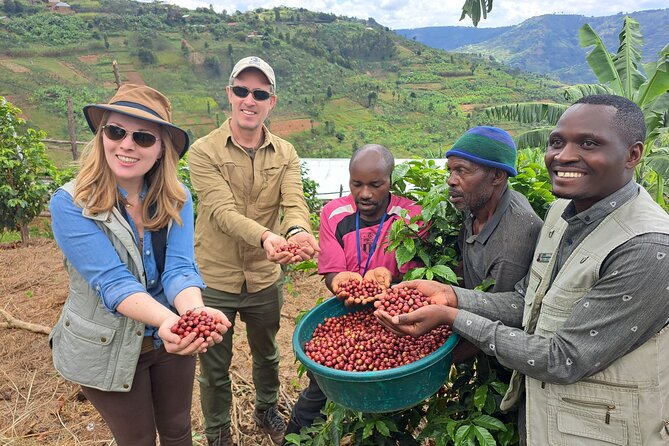 Tea and coffee tours - Key Points You’ll Care About