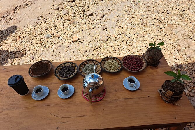Tea and coffee tours - Why The Group Size (Max 8) Feels Like Real Value