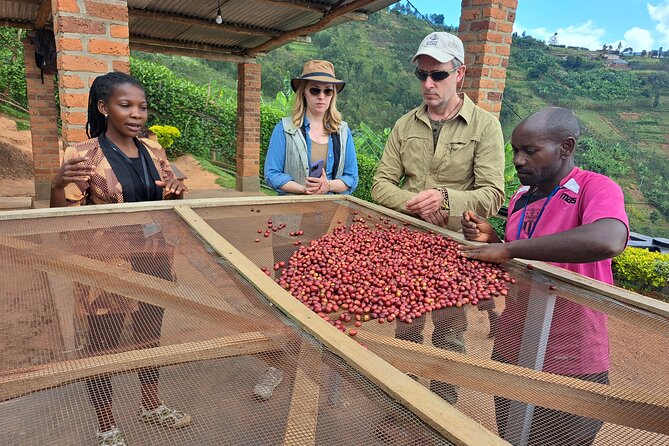 Tea and coffee tours - The 8:00 AM Start In Rubavu And What That Means