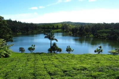 Tea and Culture Route - Vacoas Reservoir: Quick Context Stop or a Speed Bump?