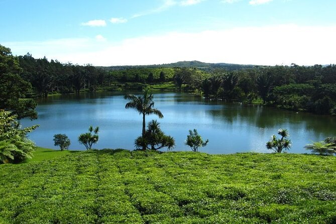 Tea and Culture Route - Vacoas Reservoir: Quick Context Stop or a Speed Bump?