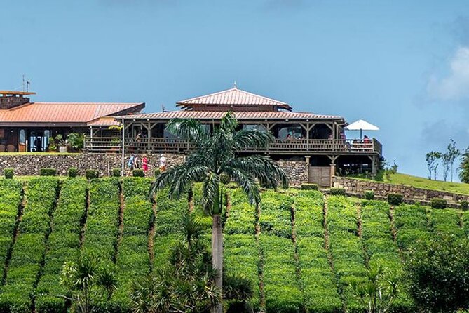 Tea Experience in the Exotic South of Mauritius Private tour. - Bois Cheri tea factory: the real tea culture stop (and the tasting part)