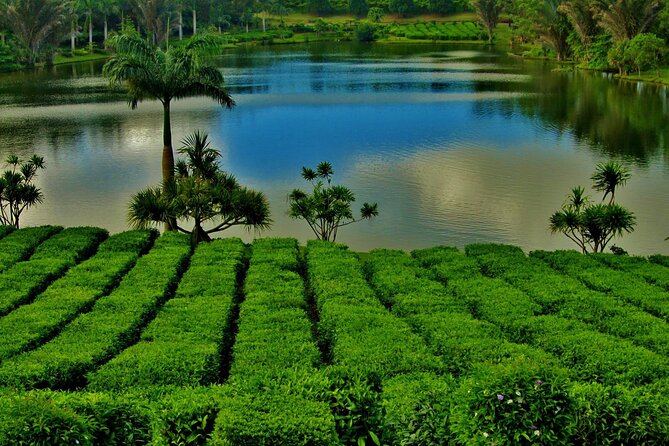 Tea Experience in the Exotic South of Mauritius Private tour. - Grand Bassin (Ganga Talao): sacred lake, temples, and that “pray-and-pause” feeling