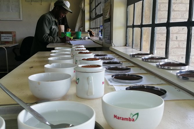 Tea Farm Experience at Riara Tea Farm And Factory Tour - What you learn on the plantation (and why it changes your tea habit)