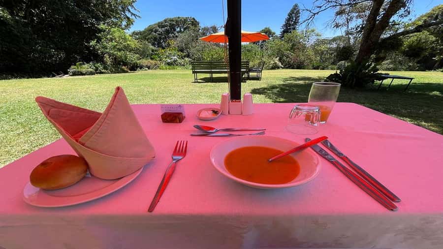 Tea Farm Tour From Nairobi (Kiambethu). - Key things I’d prioritize on this Kiambethu tea day