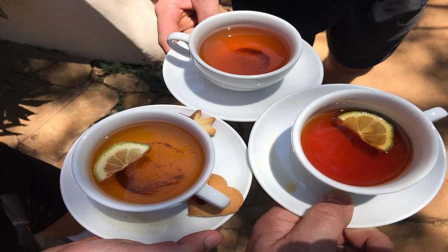 Tea Farm Tour From Nairobi (Kiambethu). - The 11am intro: tea or coffee plus the tea-making story