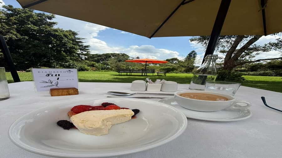 Tea Farm Tour From Nairobi (Kiambethu). - Forest walk with medicinal plant info (and Colobus monkey odds)