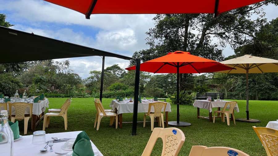 Tea Farm Tour From Nairobi (Kiambethu). - Cultural context: the colonial ownership detail you might want to know