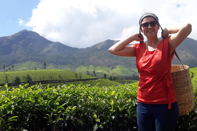 Tea Farm Tourism - Key Highlights You Should Know Before You Go
