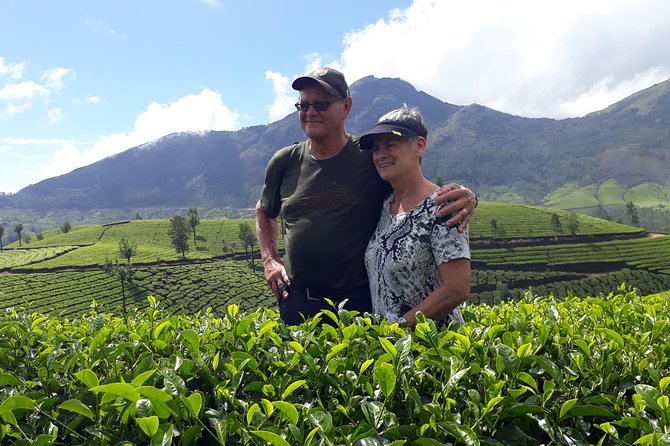 Tea Farm Tourism - What You’ll Actually See on the Tea Farm Side of Munnar