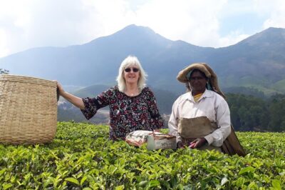 Tea Farm Tourism - Arun’s Tea Talk: Types, Production, and Why It Tastes Different