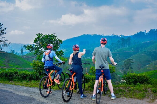 Tea Loops E-Biking - Tea Loops on an E-bike: what you are really buying