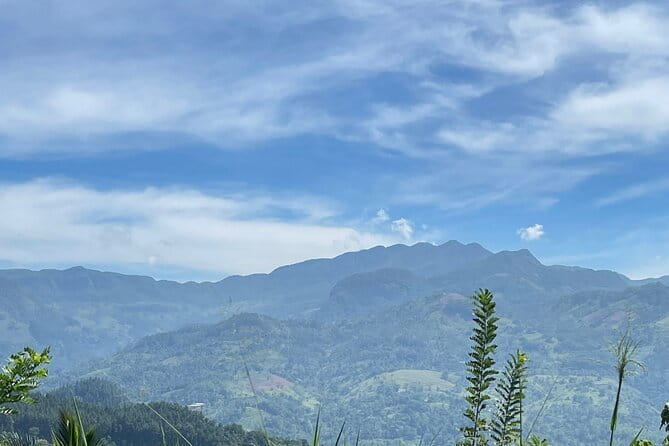 Tea Loops E-Biking - Town stops and route flavor: Maskeliya, Maussakelle, and Adams Peak area