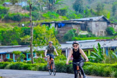 Tea Loops E-Biking - The 25 km tea loop: tea estates, quiet lanes, and working industry
