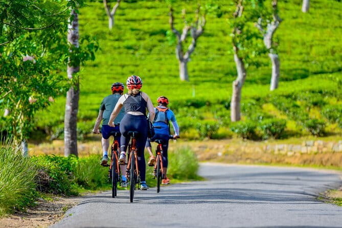 Tea Loops E-Biking - What to bring (so the ride stays fun)