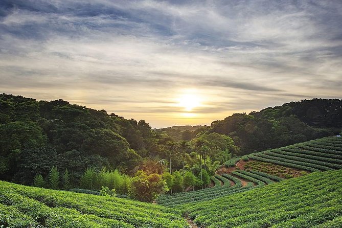 Tea of Taipei: Small-Group Tour with Taipei City Sightseeing - Key things to know before you go