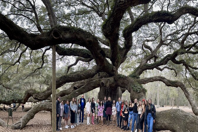 Tea Plantation and Winery Tour in Charleston - Key highlights