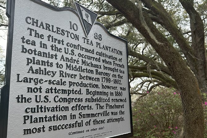 Tea Plantation and Winery Tour in Charleston - How the 5-hour tour actually feels on a tight Charleston timeline