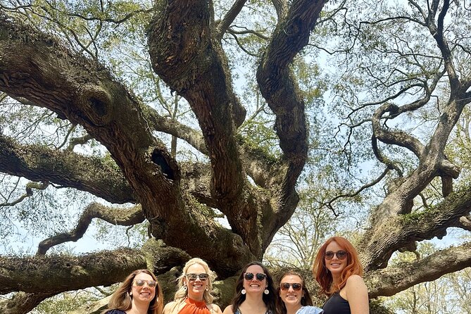 Tea Plantation and Winery Tour in Charleston - Angel Oak Tree: the 15-minute photo hit that sets the mood