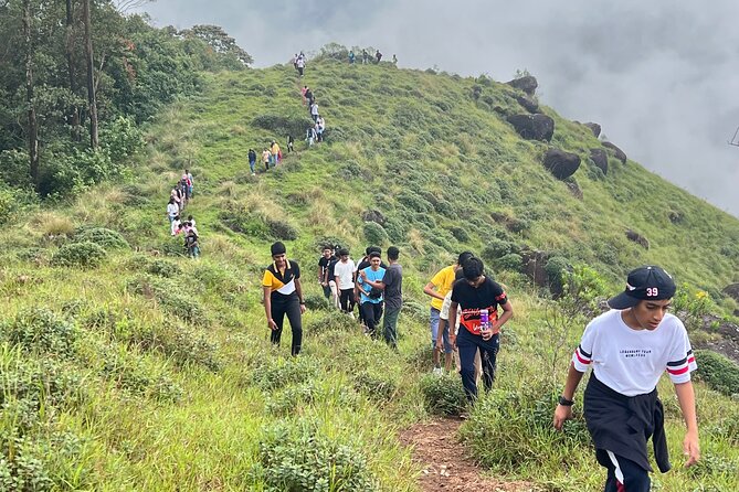 Tea Plantation, Grass Land and Mountain Hiking in Munnar - Key things I think you’ll care about