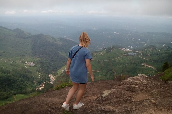 Tea Plantation, Grass Land and Mountain Hiking in Munnar - First hour: tea plantations and the Kannan and Devan story