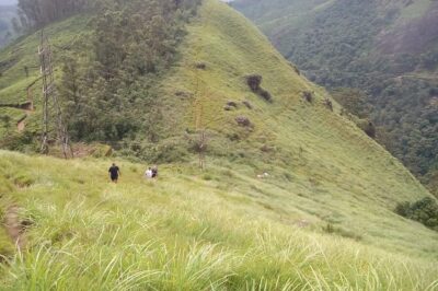 Tea Plantation, Grass Land and Mountain Hiking in Munnar - Getting started at KSRTC Depot Munnar (and why the meeting point helps)