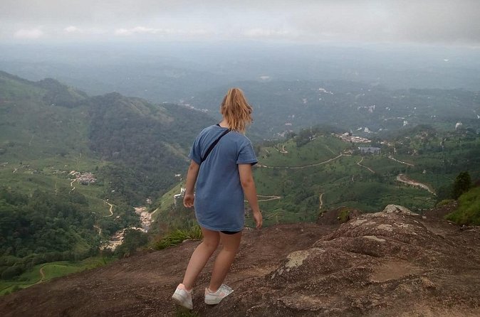 Tea Plantation, Grass Land and Mountain Hiking in Munnar - Shola forest bird spotting: orange and black flycatchers