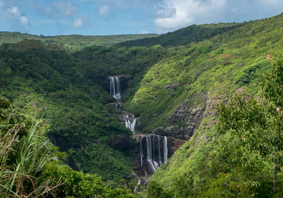 Tea Route: Lake, Forest, Tea Plantation & 3 Course Lunch - Tamarind Falls: A Simple Nature Break