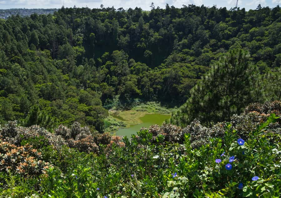 Tea Route: Lake, Forest, Tea Plantation & 3 Course Lunch - Price and Value: Is $58 Worth It?