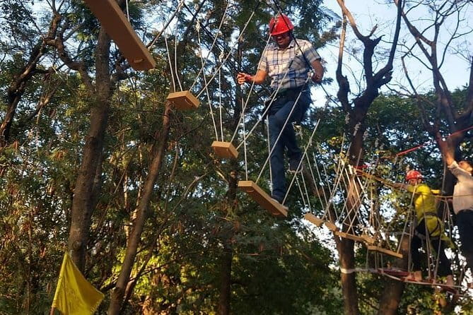 Tea Top Adventure Activities - Where the Tea Top Adventure Starts in Palampur