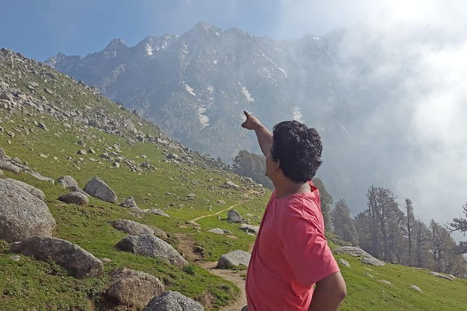 Tea Top Adventure Activities - Tea Estate Views: Why This Feels Like More Than an Amusement Ride