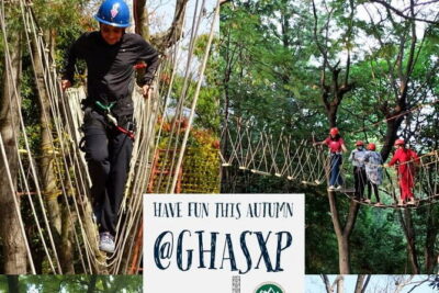 Tea Top Adventure Activities - Choosing Your Difficulty: How the Courses Feel in Order